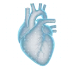 Heart health scan icon